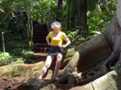 Hot milf in lingerie plays solo at wahiawa botanical gardens - 4k amateur porn